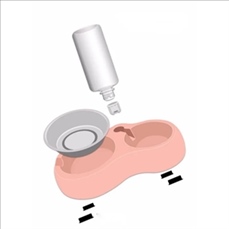 2 in 1 Food And Water Pet Bowls-Automatic Device
