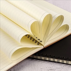 A5 Hardcover Ruled Spiral Notebook