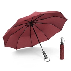 Auto Open and Close Windproof Travel Umbrella