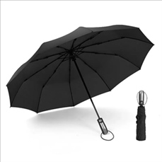 Auto Open and Close Windproof Travel Umbrella
