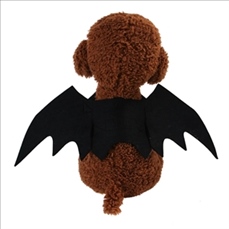 Bat Pet Decoration