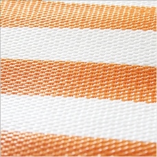 Beach Mat