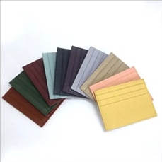 COVID-19 Vaccination Card Holder