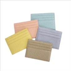 COVID-19 Vaccination Card Holder