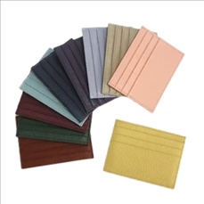 COVID-19 Vaccination Card Holder