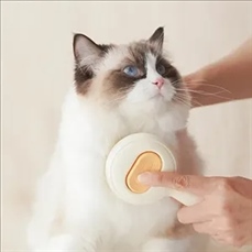 Cat Brush for Shedding