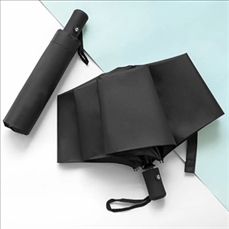 Compact Travel Windproof Automatic Umbrella