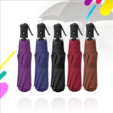 Compact Travel Windproof Automatic Umbrella