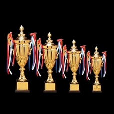 Custom Large Trophy Cup for Sport Tournaments
