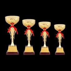 Custom Large Trophy Cup for Sport Tournaments