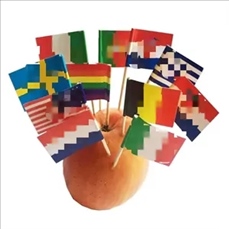 Custom Toothpick Flag With 4