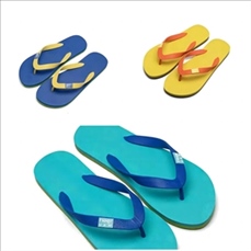 Deluxe Flip Flop