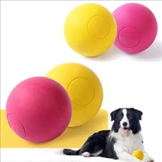 Durable Dog Chewing Ball