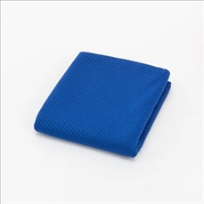 Ice Sport Cooling Towel
