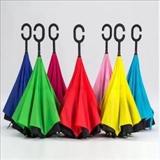Inverted Umbrella