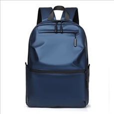 Leisure Computer Backpack