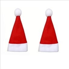 Mini Santa Hat