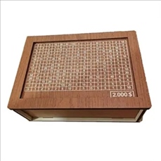 Money Box with Counter