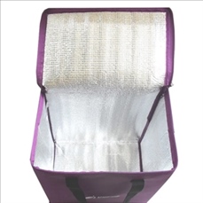 Multifunctional cooler bag