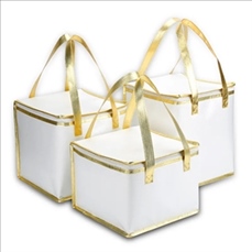 Multifunctional cooler bag