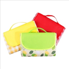 Outdoor Moisture Proof Picnic Mat