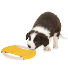Pet Rope Frisbee