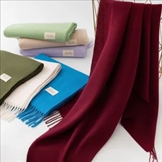 Plain Minimalist Scarf for Fall/Winter