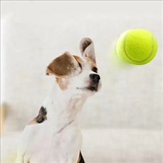 Small Tennis Balls for Dogs Cat Toy