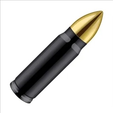Stainless Steel Bullet Tumblers