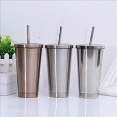 Stainless Steel Insulated Straw Cup