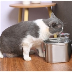 Stainless Steel Pet Water Fountain