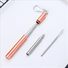 Stainless Steel Telescopic Straw