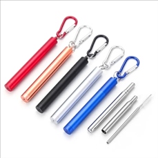 Stainless Steel Telescopic Straw